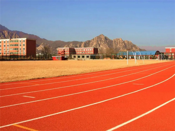 昌江黎族自治县橡胶跑道学校塑胶跑道 - 厂家